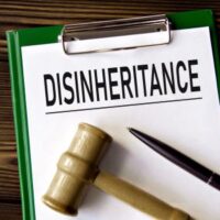 Disinherit Disinherit